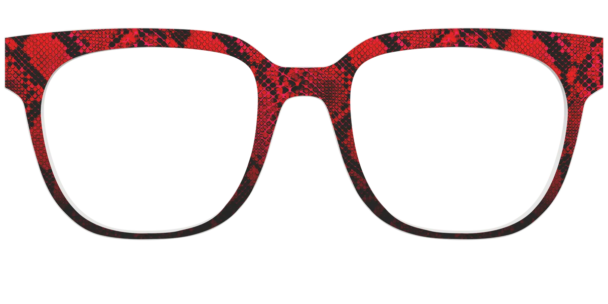 The Statement Snakeskin