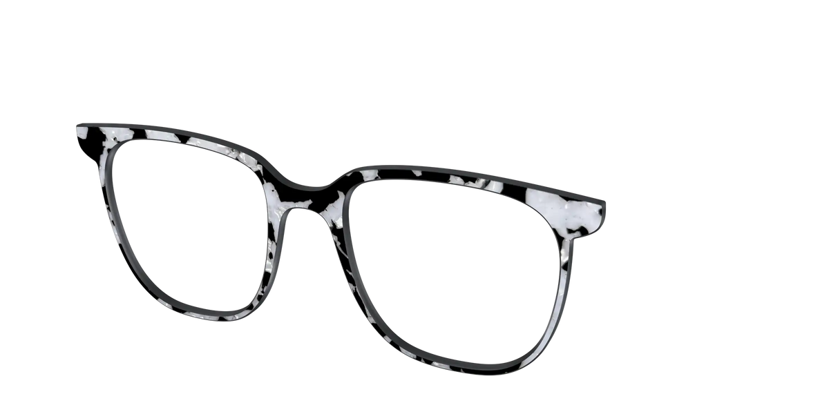 The Black & White Pearl Tortoise