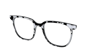 The Black & White Pearl Tortoise