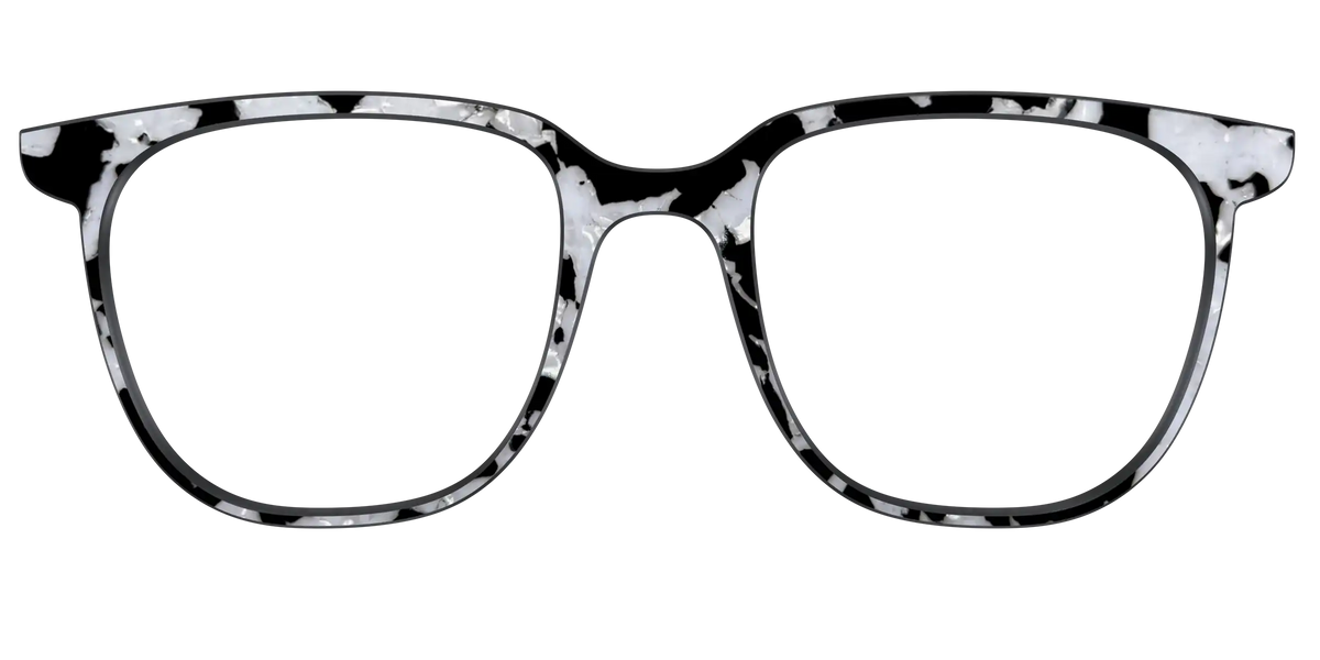 The Black & White Pearl Tortoise
