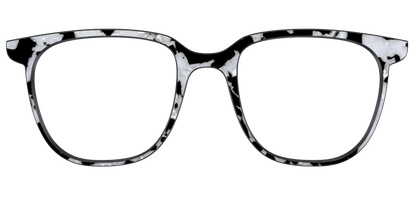 The Black & White Pearl Tortoise