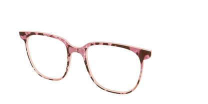 The Pale Peach Pearl Tortoise