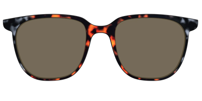 The Polarized Gray & Amber Tortoise Sun Top