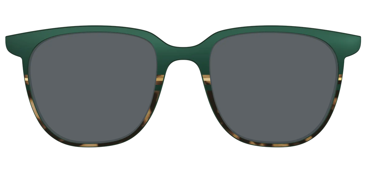 The Polarized Spruce Tortoise Sun Top