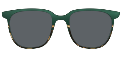 The Polarized Spruce Tortoise Sun Top