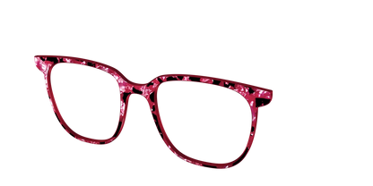 The Raspberry Pearl Tortoise