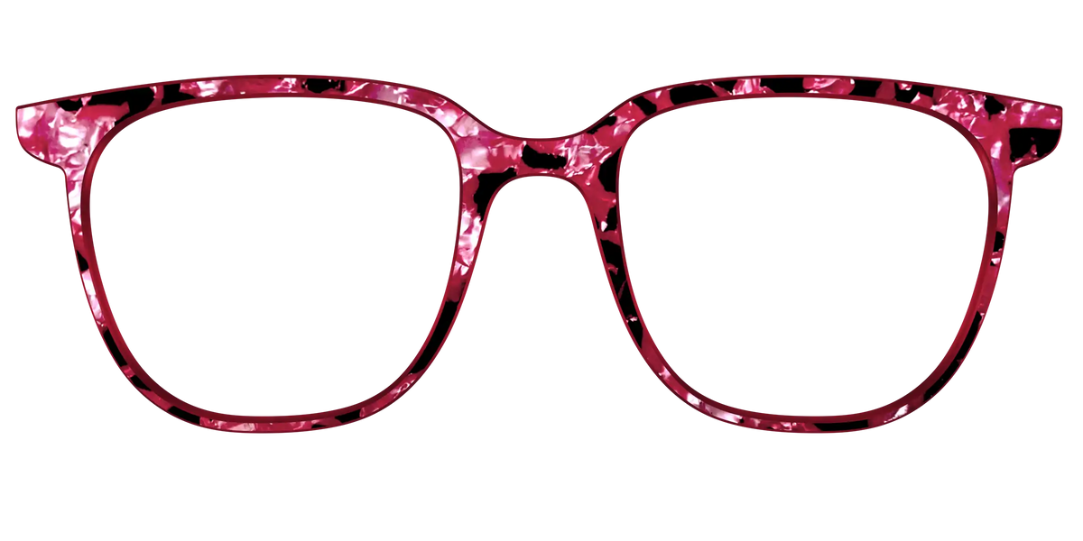 The Raspberry Pearl Tortoise