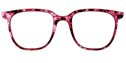 The Raspberry Pearl Tortoise