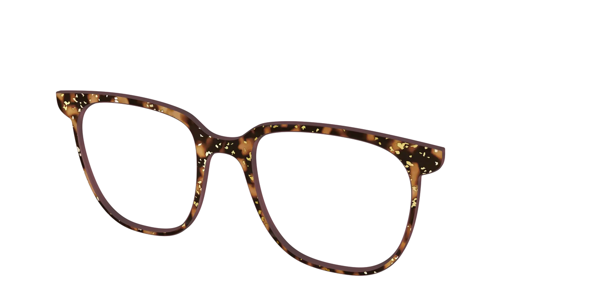 The Sandalwood Tortoise with Gold Foil