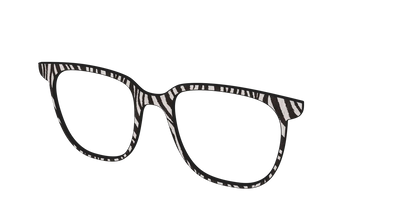 The Zebra Stripes