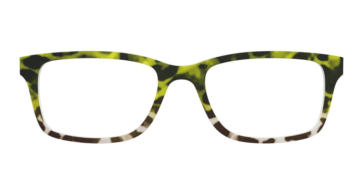 The Avocado to Ivory Tortoise