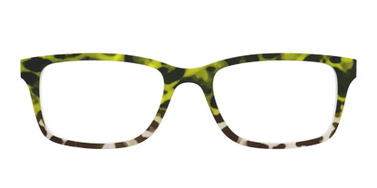 The Avocado to Ivory Tortoise