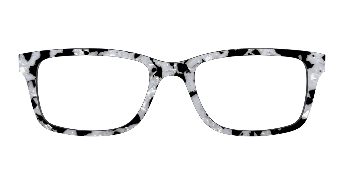 The Black & White Pearl Tortoise