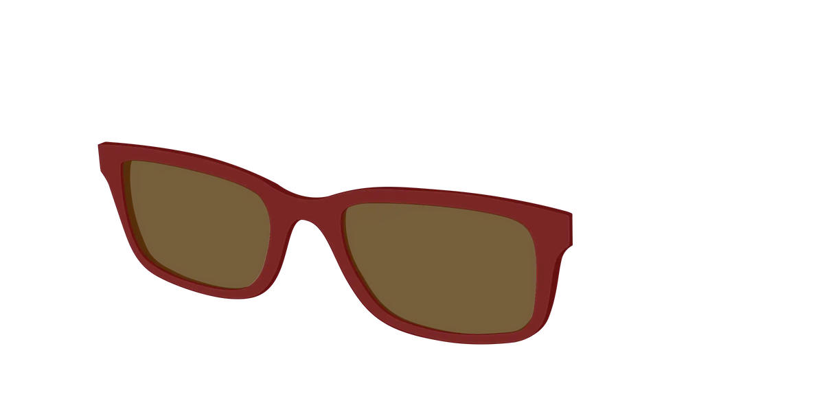 The Polarized Burgundy Sun Top