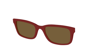 The Polarized Burgundy Sun Top