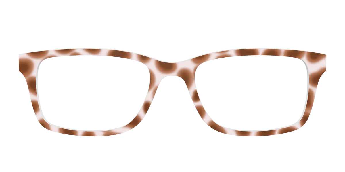 The Caffé Tortoise