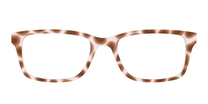 The Caffé Tortoise
