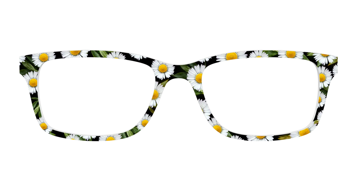 The Delicate Daisies