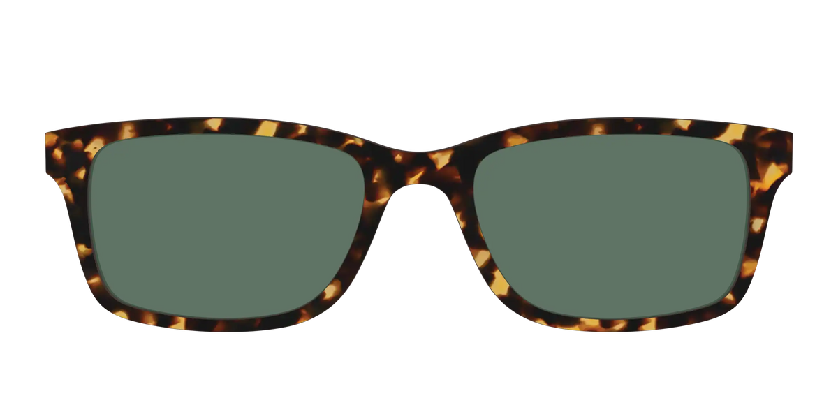 The Non-Polarized Green Tortoise Sun Top