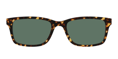 The Non-Polarized Green Tortoise Sun Top