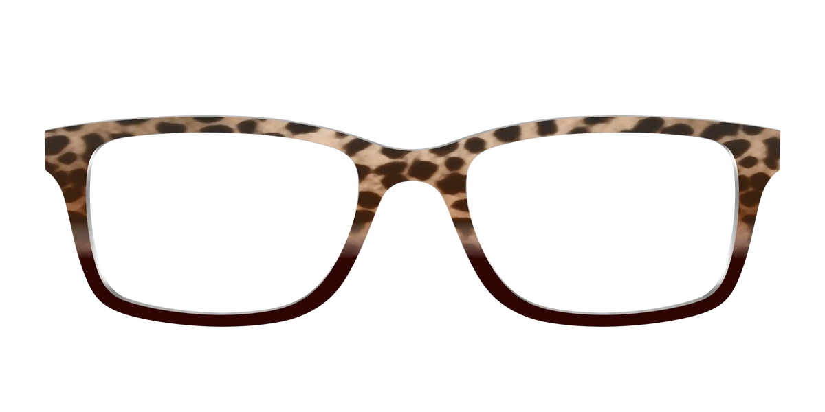 The Jungle Cat Tortoise