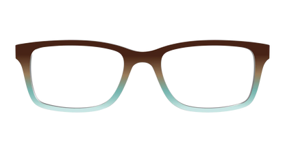 The Oak to Eggshell Gradient
