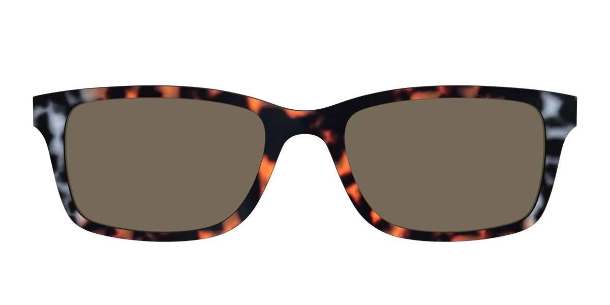 The Polarized Gray & Amber Tortoise Sun Top
