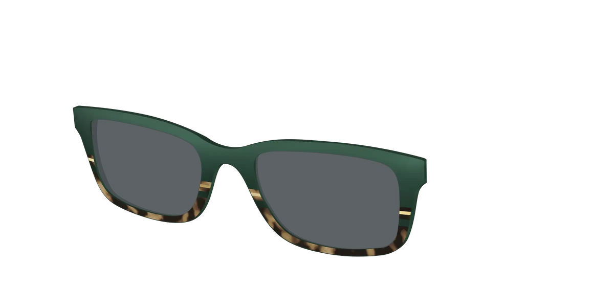 The Polarized Spruce Tortoise Sun Top