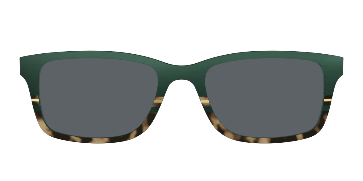 The Polarized Spruce Tortoise Sun Top