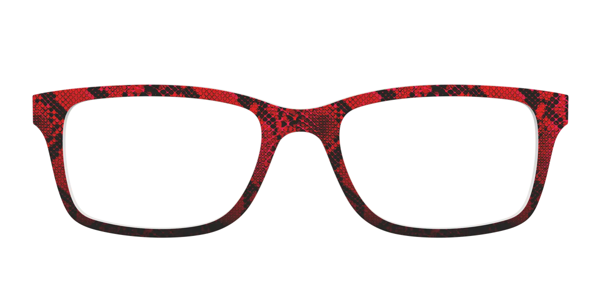 The Statement Snakeskin