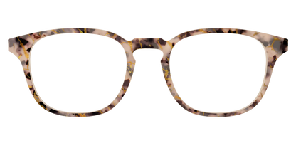 The Almond Tortoise with Gold Streaks