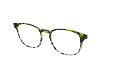 The Avocado to Ivory Tortoise