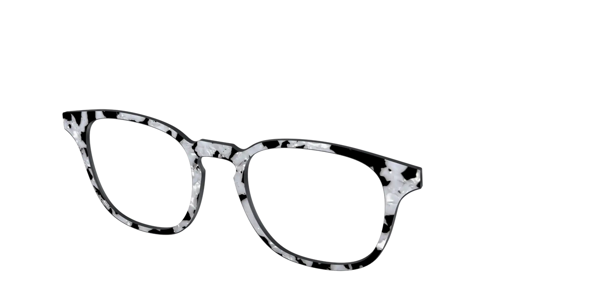The Black & White Pearl Tortoise