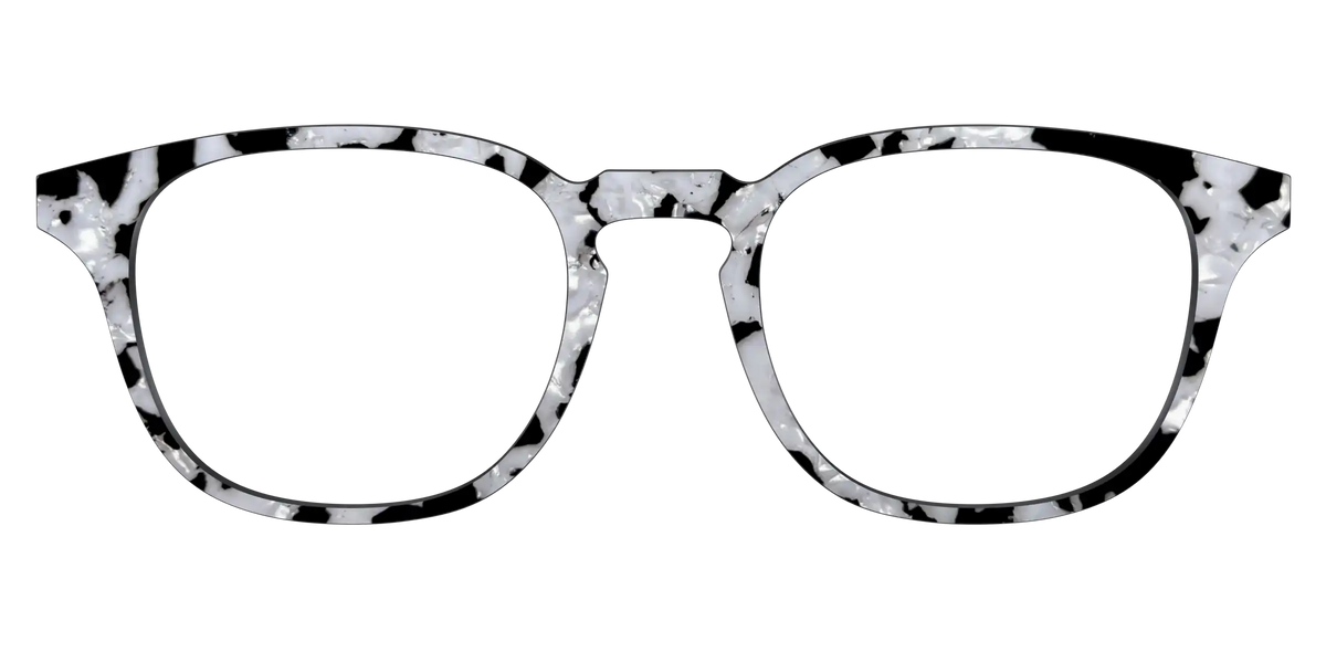 The Black & White Pearl Tortoise
