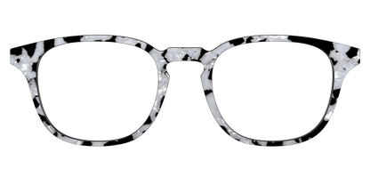 The Black & White Pearl Tortoise