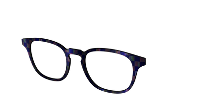 The Black Holographic Check
