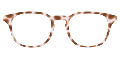 The Caffé Tortoise
