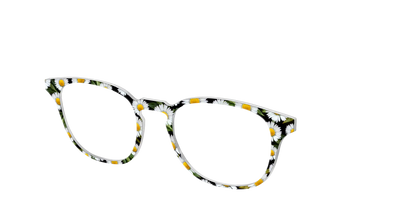 The Delicate Daisies