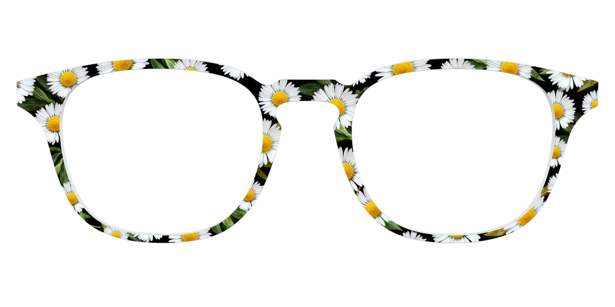 The Delicate Daisies