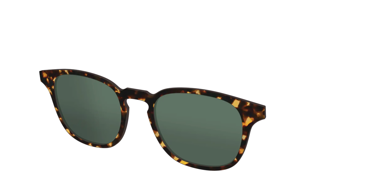 The Non-Polarized Green Tortoise Sun Top