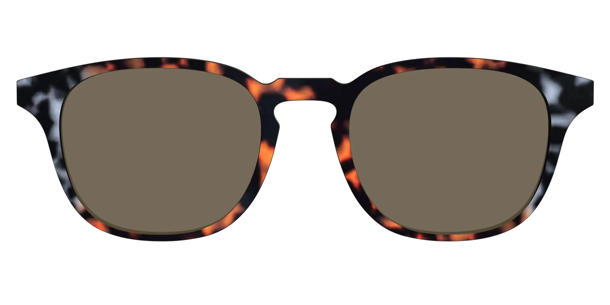 The Polarized Gray & Amber Tortoise Sun Top