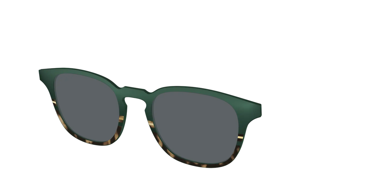 The Polarized Spruce Tortoise Sun Top