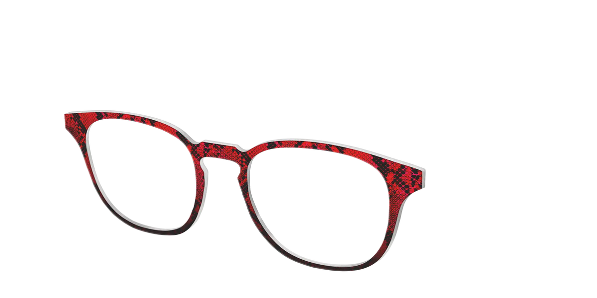 The Statement Snakeskin
