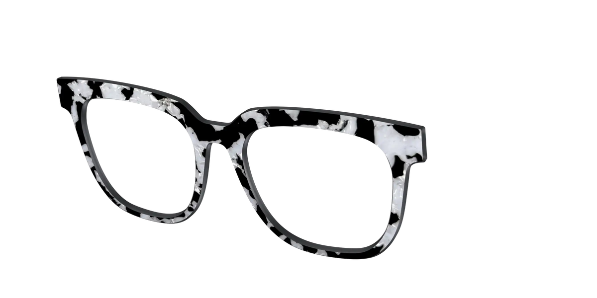 The Black & White Pearl Tortoise