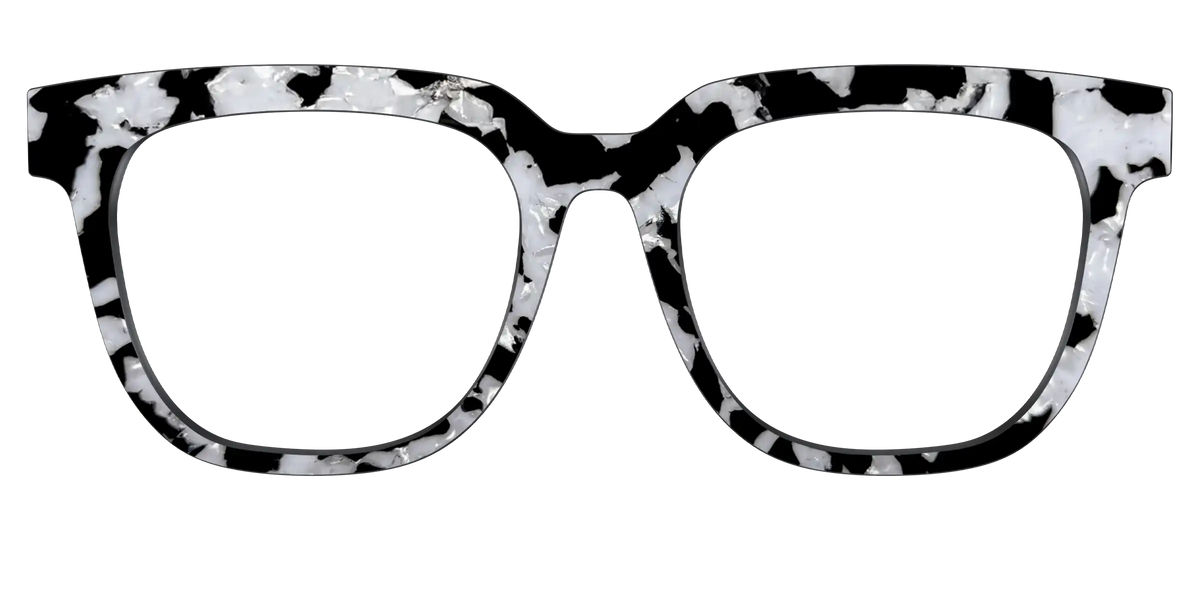 The Black & White Pearl Tortoise