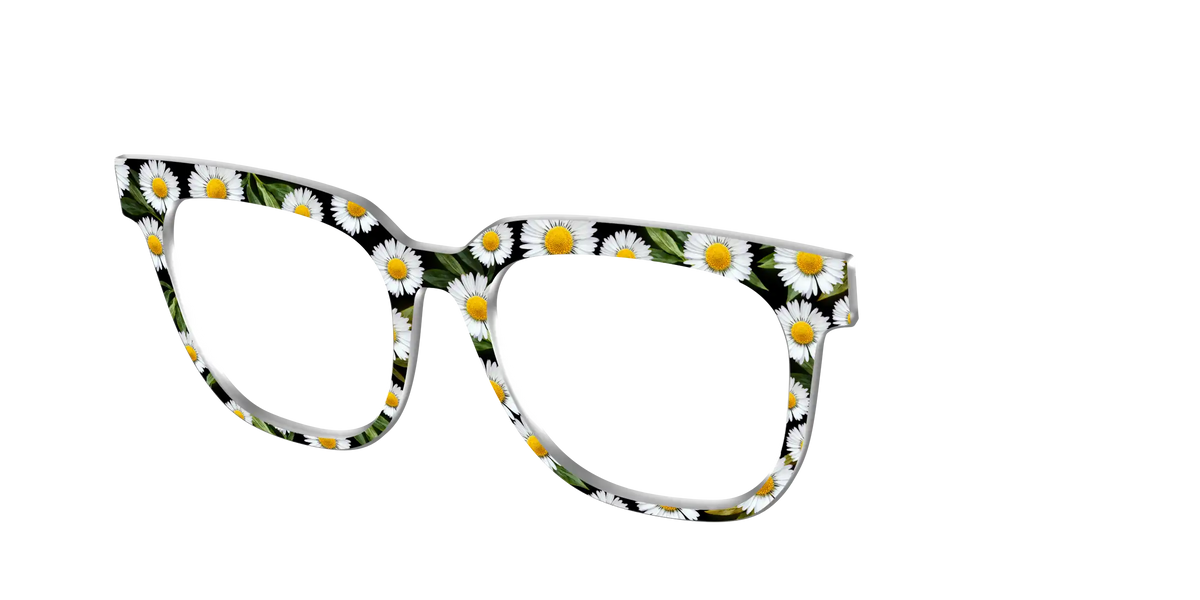 The Delicate Daisies