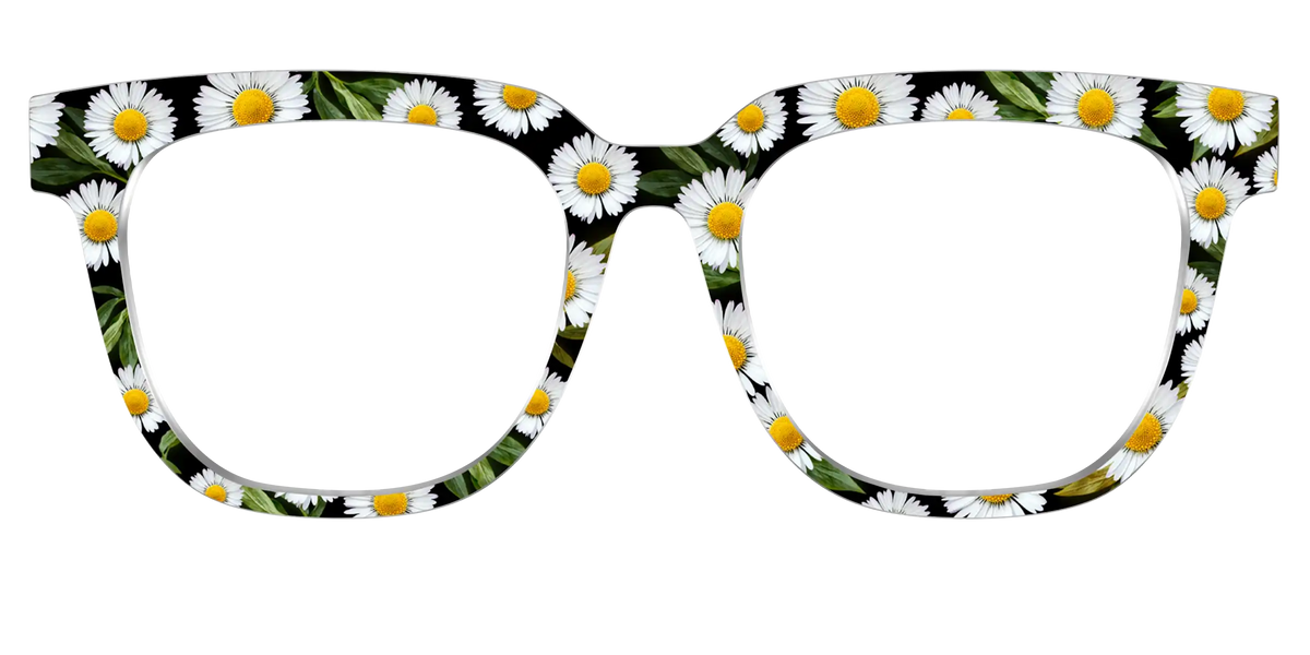 The Delicate Daisies