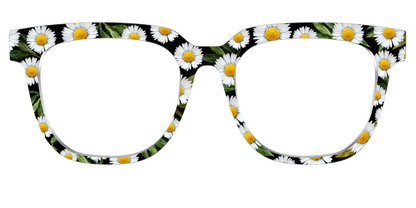The Delicate Daisies