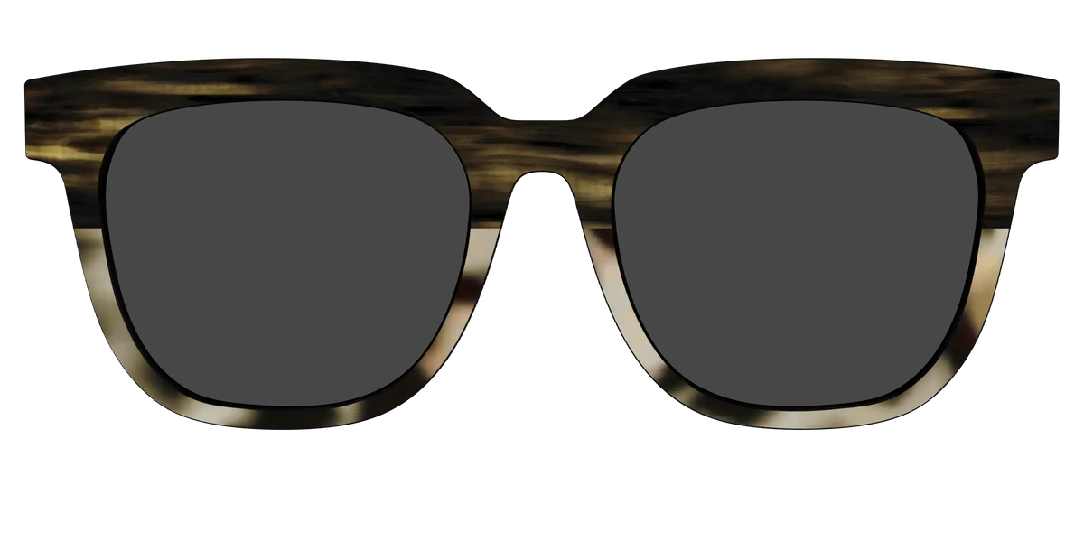 The Polarized Horn Tortoise Sun Top