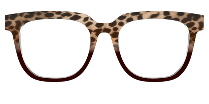 The Jungle Cat Tortoise